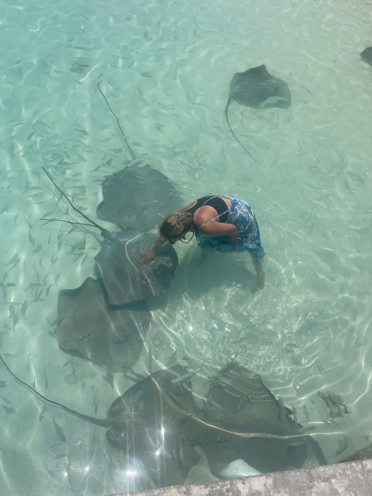 Island Scuba Inn Dhangethi Esterno foto