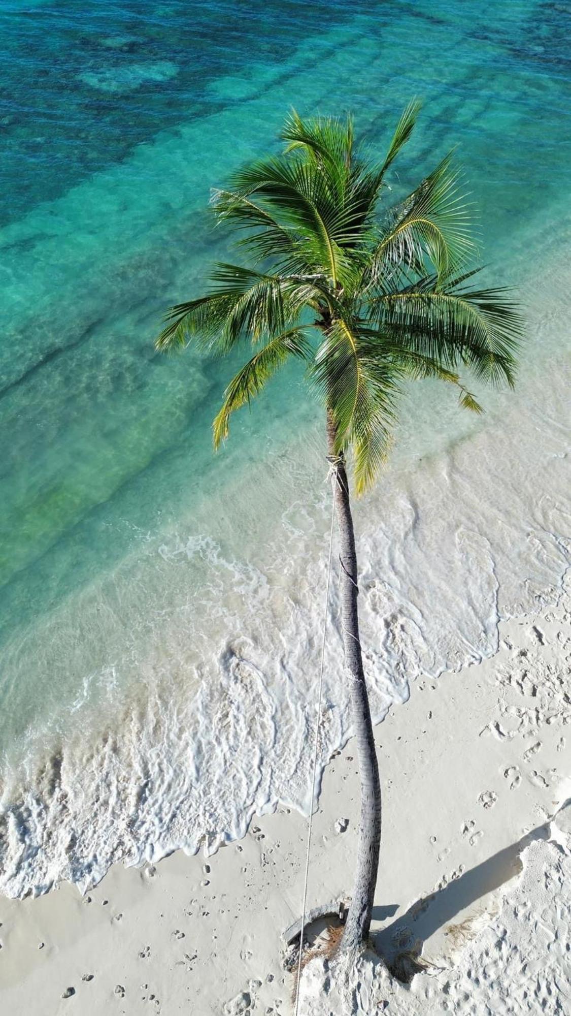 Island Scuba Inn Dhangethi Esterno foto