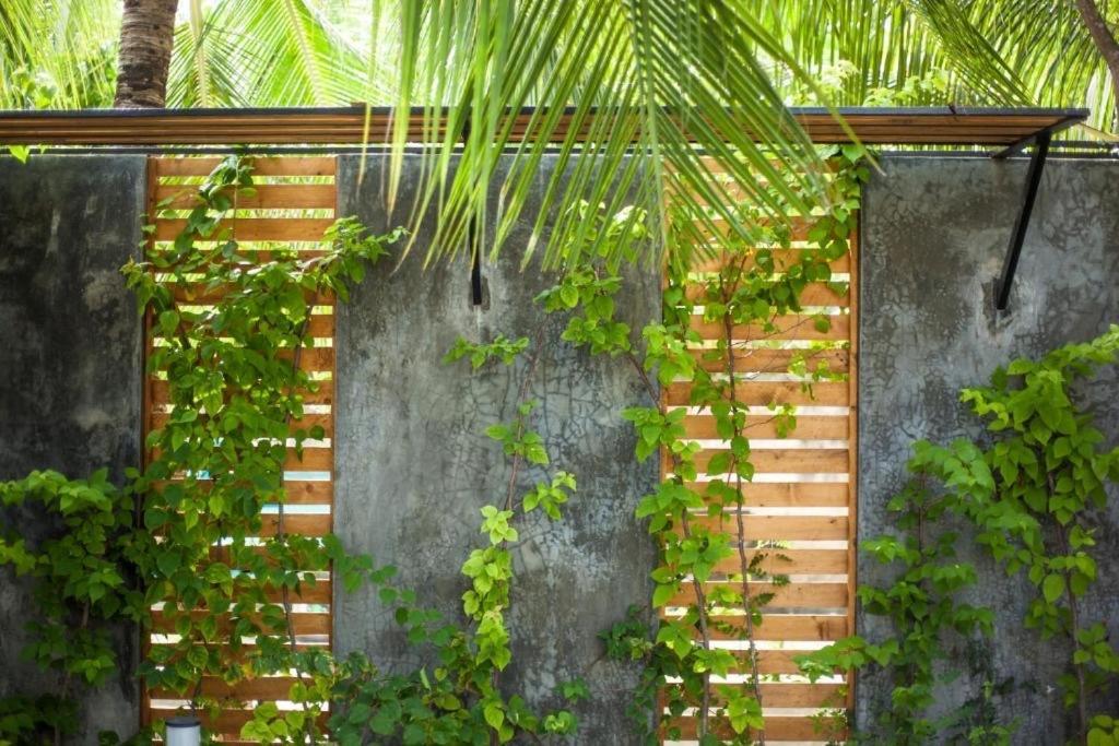 Island Scuba Inn Dhangethi Esterno foto