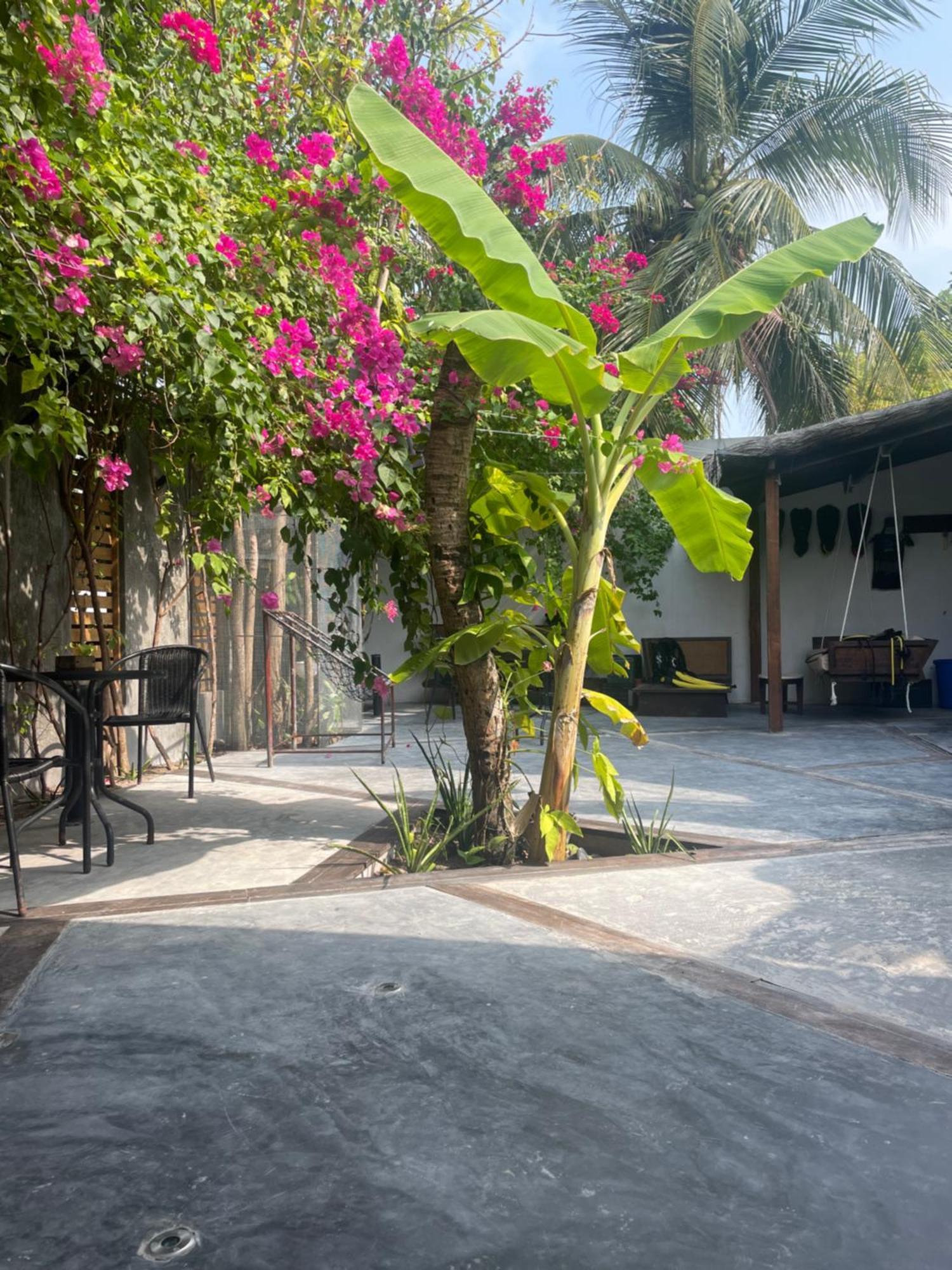 Island Scuba Inn Dhangethi Esterno foto